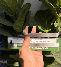 Stainless Steel Straight and Curved Non Magnetic Tweezers